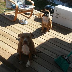 Meet your Posher, Jesse